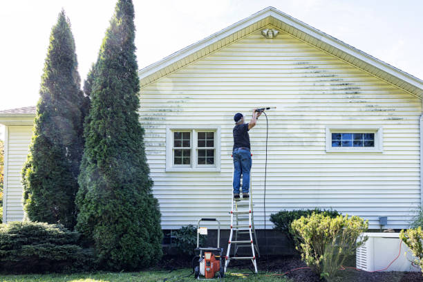 Animal Enclosure Cleaning in Atwood, IL